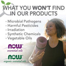 Now Foods Lavender Oil, 10 ml