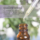 Now Foods Lavender Oil, 10 ml